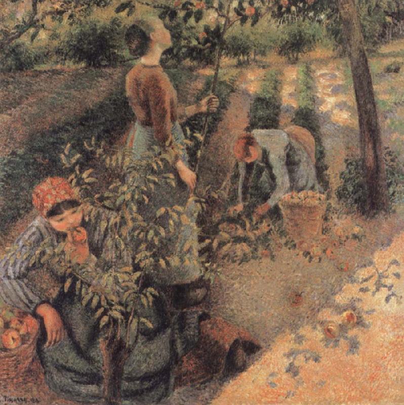 Camille Pissarro The Apple Pickers Norge oil painting art